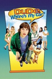 Çılgınlar ve Sevgililer izle